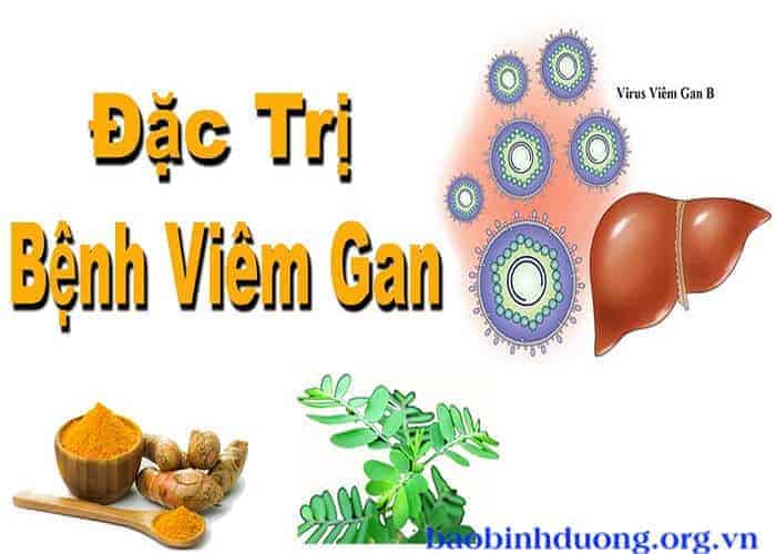 Thảo dược kết hợp điều trị viêm gan b