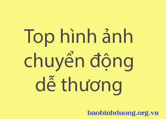 Top 10 hình ảnh chuyển động dễ thương hài hước nhất 2019